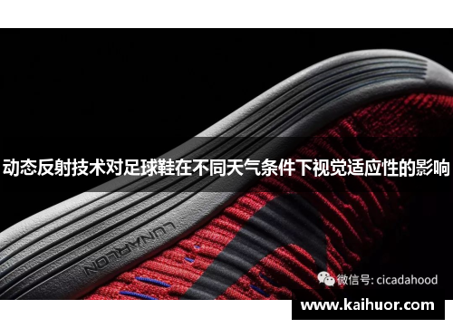 动态反射技术对足球鞋在不同天气条件下视觉适应性的影响